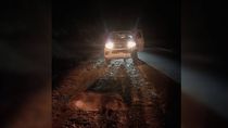 se salvaron de milagro: se les cruzaron mas de 12 jabalies en la ruta se salvaron de milagro: se les cruzaron mas de 12 jabalies en la ruta