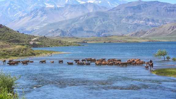 Hay tiempo hasta el 19 de julio. Foto: gentileza