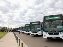 COLE suma 36 nuevas líneas en la ciudad.&nbsp;