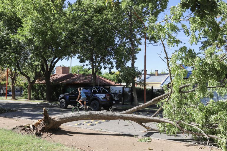 El fenómeno climático en Cipolletti dejó varias secuelas / Foto 