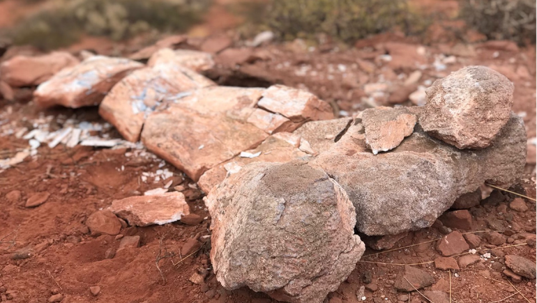 El hallazgo de restos de un dinosaurio gigante revoluciona la zona de Añelo