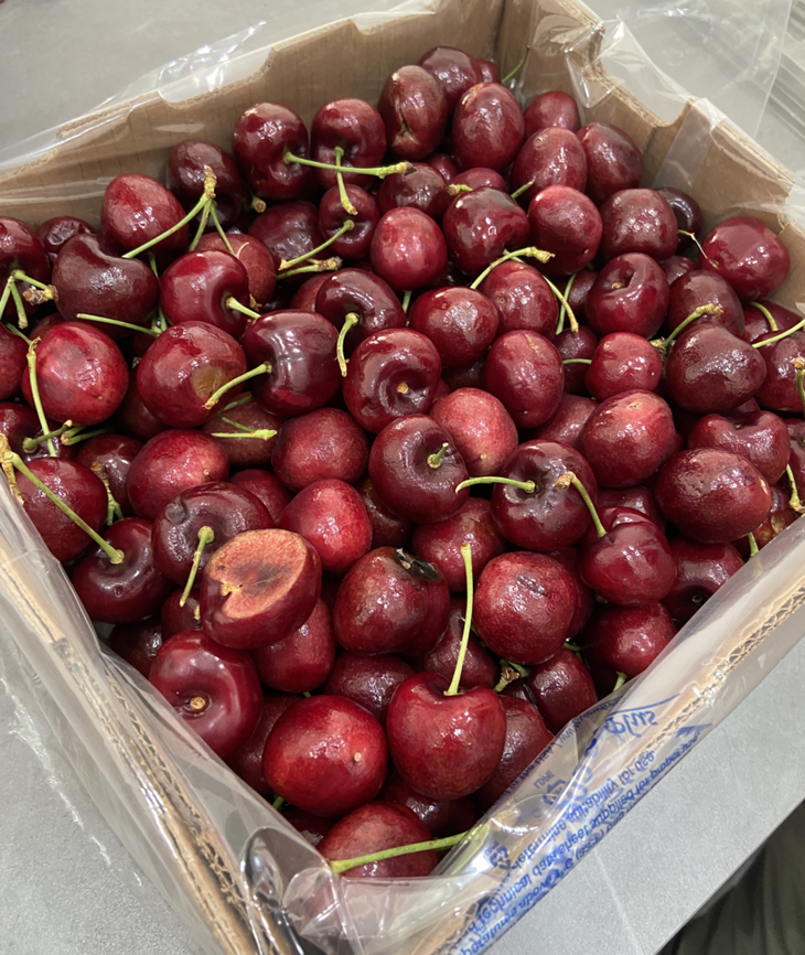 Algunos de los problemas que se observaron en la recorrida del mercado entre la semana 3 y cuatro de la presente temporada. (Foto: Trío Kimün). Algunos de los problemas que se observaron en la recorrida del mercado entre la semana 3 y cuatro de la presente temporada. (Foto: Trío Kimün).