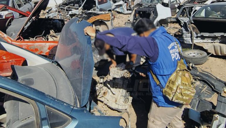 El operativo en la meseta neuquina permitió dar con dos autos robados