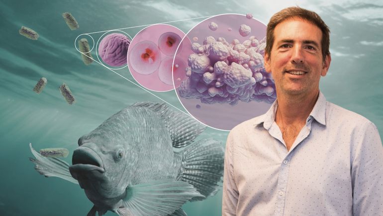 El veterinario neuquino que busca revolucionar la producción animal con vacunas para peces