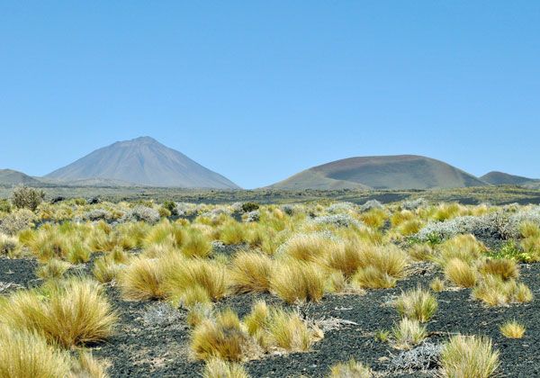 El mayor parque volcánico del mundo está en Mendoza