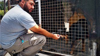 le buscan familia responsable al perro que termino en un calabozo le buscan familia responsable al perro que termino en un calabozo