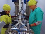 Un desarrollo científico del INTA Alto Valle cruza fronteras y marca un hito en el uso de control biológico para la fruticultura regional.