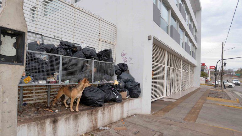 Los recolectores se quejan porque el municipio no levanta la basura los feriados