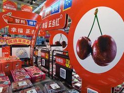 China es el principal destino de la oferta exportable de cerezas de Chile. China es el principal destino de la oferta exportable de cerezas de Chile.