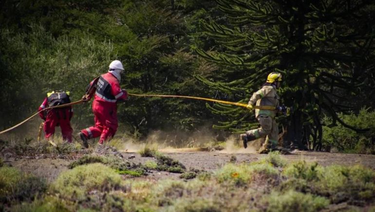 Incendio en el Parque Nacional Lanín: cómo sigue la situación en el Valle Magdalena