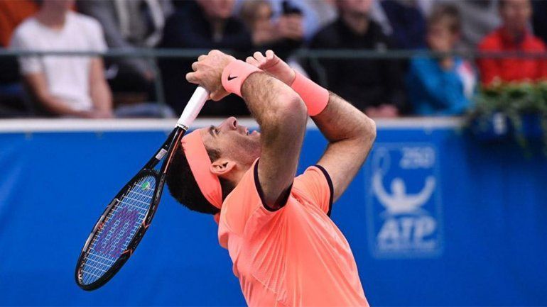 Del Potro volvió a ser campeón después de casi tres años
