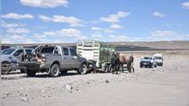 La búsqueda de la policía desaparecida en Chubut se realiza con camionetas, cuatriciclos y caballos, además de perros entrenados. Hasta el momento no hay pistas. La búsqueda de la policía desaparecida en Chubut se realiza con camionetas, cuatriciclos y caballos, además de perros entrenados. Hasta el momento no hay pistas.
