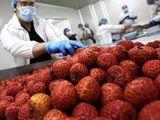Así es la fruta exótica que está conquistando a Europa y América