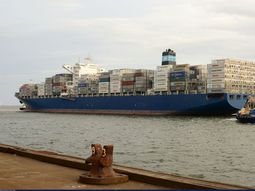 La nave Maersk Saltoro, un emblema de la empresa marítima, hoy a la deriva en el oceano con 1.300 contenedores de cerezas. La nave Maersk Saltoro, un emblema de la empresa marítima, hoy a la deriva en el oceano con 1.300 contenedores de cerezas.