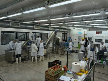 Práctica profesional: Estudiantes de la UNRN realizan ensayos de elaboración en la planta piloto de Villa Regina.