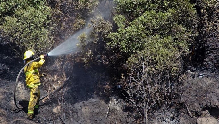 Un incendio forestal puso en peligro algunas viviendas en San Martín de los Andes