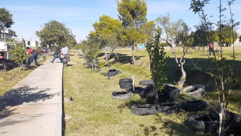 Insólito: usaron de basurero una plaza y tiraron 150 neumáticos