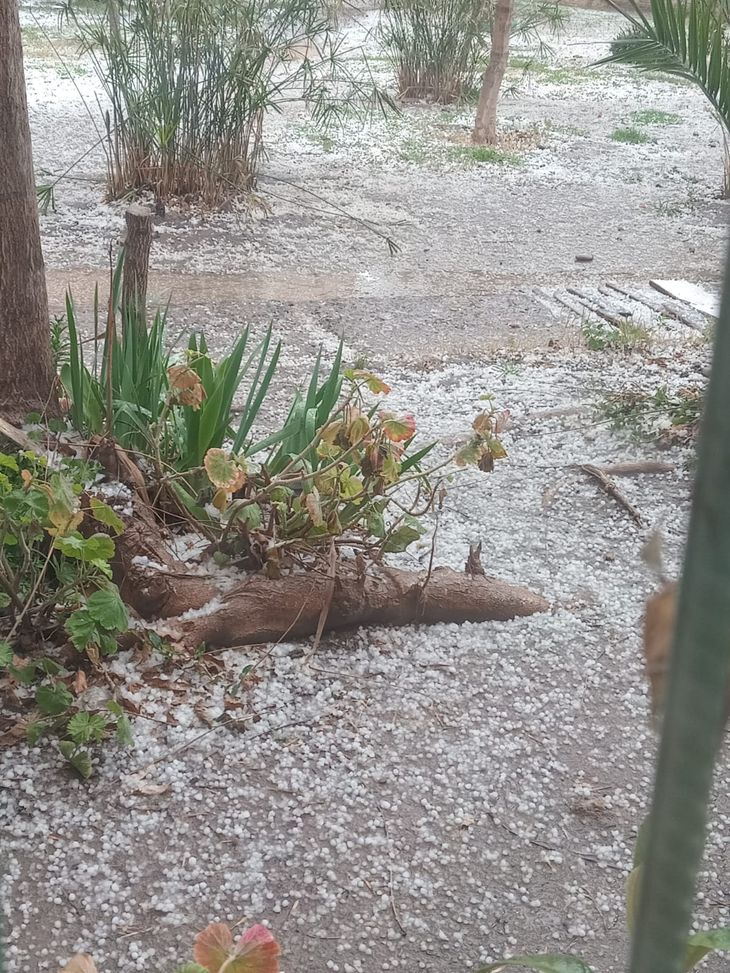 La caída de granizo duro 15 minutos aproximadamente. Foto: gentileza La caída de granizo duro 15 minutos aproximadamente. Foto: gentileza