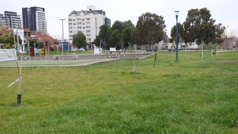 La Municipalidad se propone plantar 20 mil árboles antes de fin de año