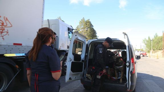 Sorpresivo operativo en el puente carretero: ¿qué buscaba la Municipalidad?