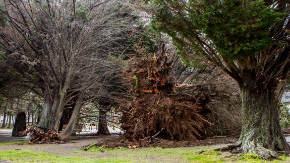 Lo que el viento dejó en las ciudades de la cordillera