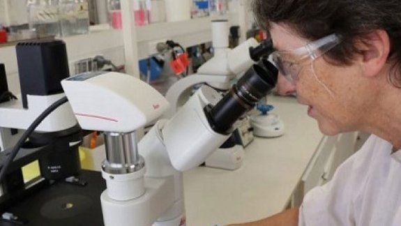 Laboratorio anunció que podría tener una vacuna de emergencia antes de fin de año