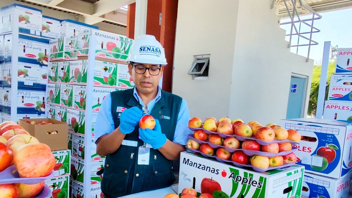 Perú volvió a abrir las fronteras para la fruta de Chile thumbnail
