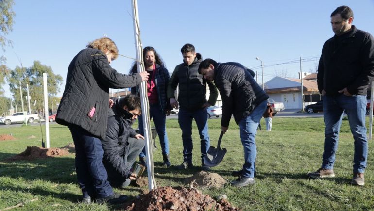 Plan Forestal: en lo que va de la gestión se plantaron 30 mil árboles en la ciudad