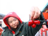 China importó alrededor de 400.000 toneladas de cerezas en las última temporada.