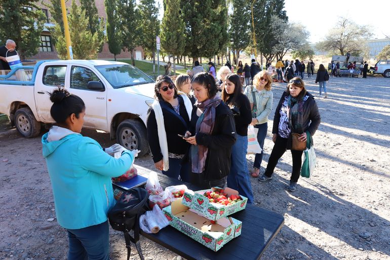 Vuelven las peras y manzanas a mil pesos el kilo en otra edición del Frutazo de la UNCo