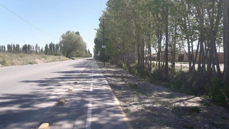 Perro asesinado de un balazo: denuncian a la vecina