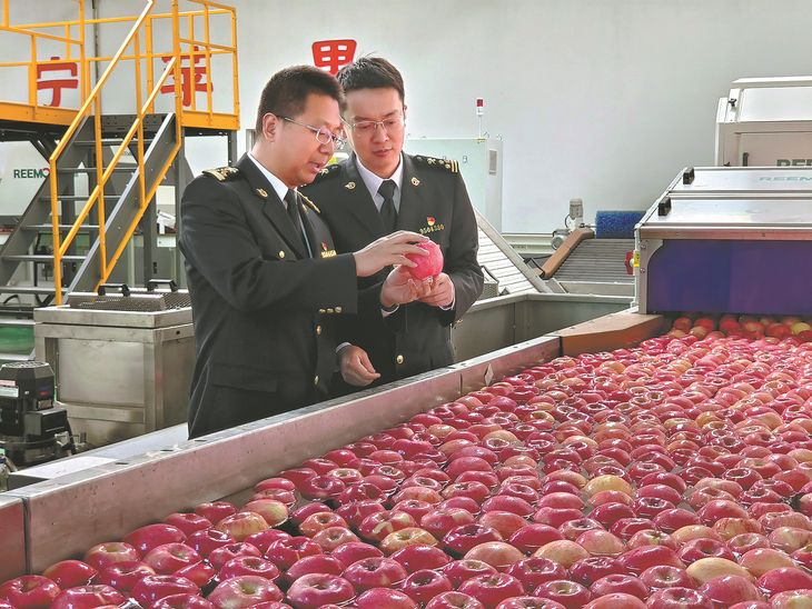 El avance de la fruta producida en China obliga a los exportadores a competir con algo m&aacute;s que volumen: ahora el sabor y la frescura mandan.