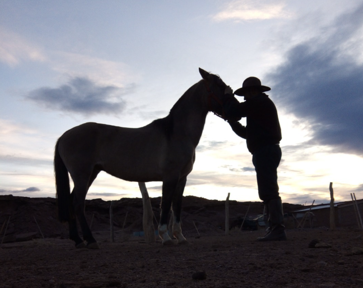 La vida en el campo. Foto: @mauparada8 La vida en el campo. Foto: @mauparada8