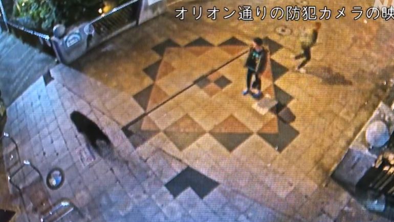Dos personas se encuentran de manera sorpresiva con un oso en Japón.
