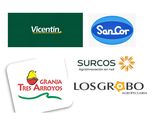 La caída de firmas históricas revela un entramado de desequilibrios financieros, malas decisiones y un nuevo escenario económico sin red de contención.