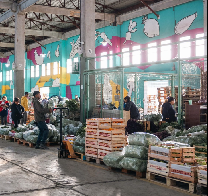 Acceso f&aacute;cil: L&iacute;nea 2 de Cole con seguimiento en @cole.neuquen app. Foto: MCN