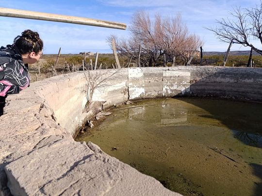 En la estepa rionegrina, la caída del 50% en las precipitaciones profundiza la marginalidad histórica y pone en riesgo el acceso al agua en comunidades rurales.