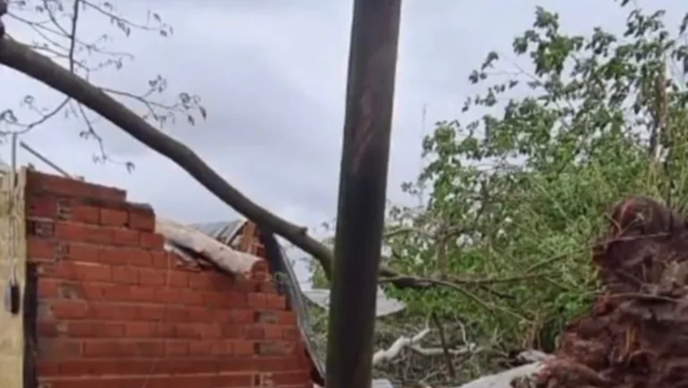 Corrientes: un árbol cayó sobre una vivienda y mató a una joven
