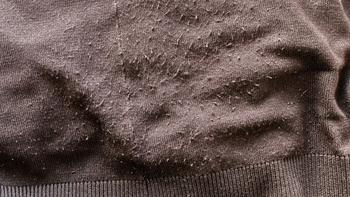 Truco casero para quitar las bolitas de lana de la ropa y dejarla como nueva Truco casero para quitar las bolitas de lana de la ropa y dejarla como nueva