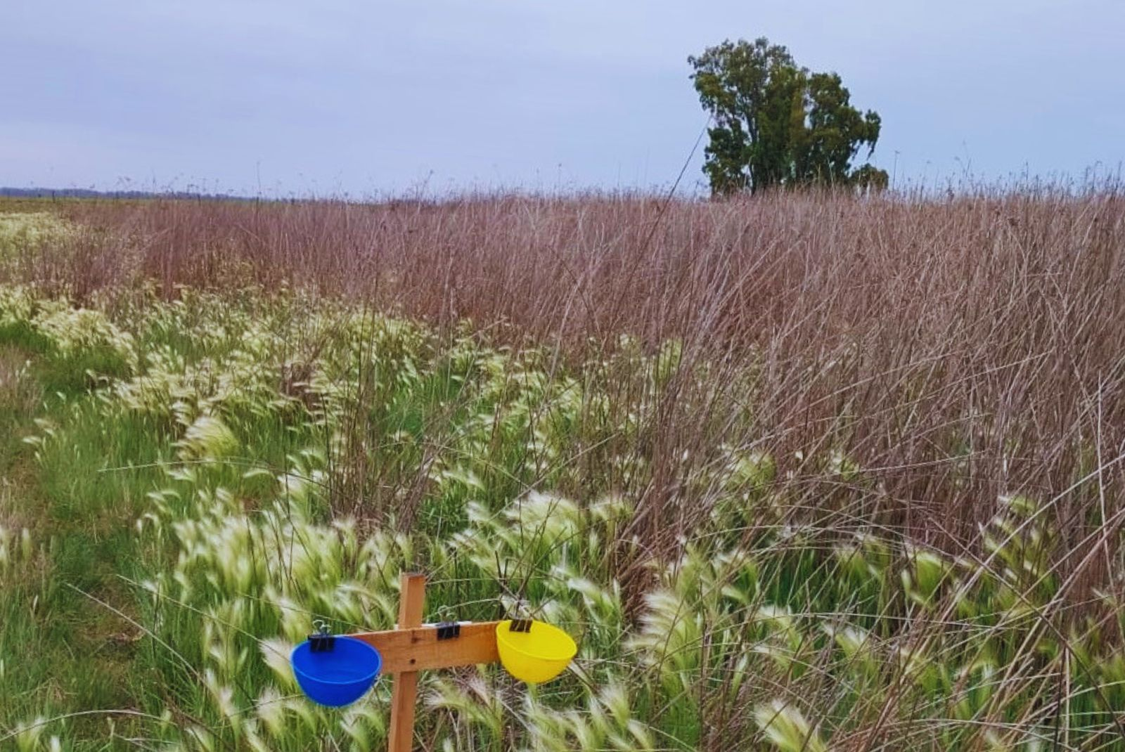 El estudio generará información que será incorporada en la Guía de Espacios de Conservación. Foto: INTA