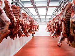 Si bien las exportaciones de carnes argentinas cayeron en esta primera parte del año, hay oportunidades en el mercado. Si bien las exportaciones de carnes argentinas cayeron en esta primera parte del año, hay oportunidades en el mercado.