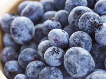 argentina apunta a record en produccion de arandanos este ano