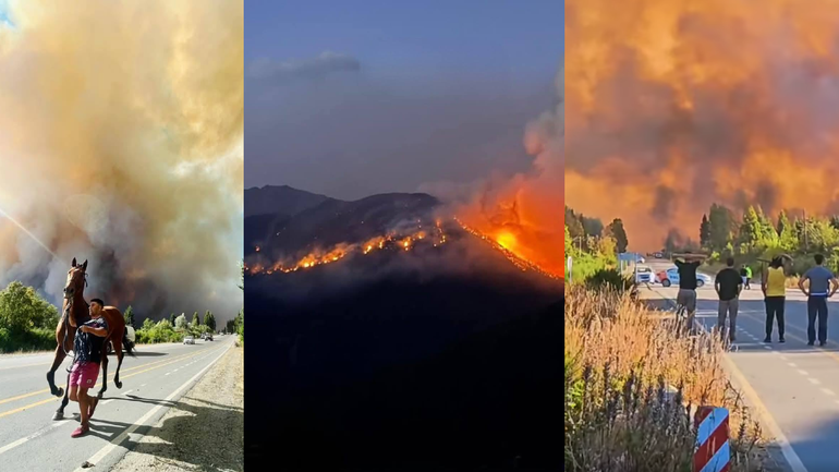 Más de 1500 hectáreas arrasadas en El Bolsón / Foto