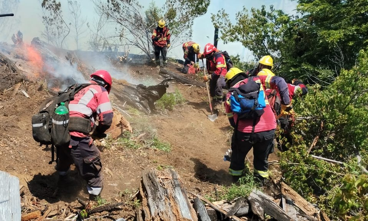 Personal del SPMF construyendo líneas con herramientas manuales. Foto: Jefe de Brigada José González (Base de Servicio Cholila). Personal del SPMF construyendo líneas con herramientas manuales. Foto: Jefe de Brigada José González (Base de Servicio Cholila).