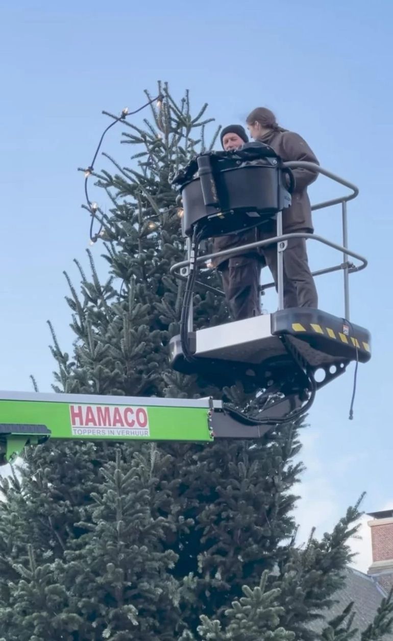 El árbol de Navidad que tendrá Máxima Zorreguieta El árbol de Navidad que tendrá Máxima Zorreguieta