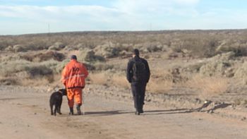 busqueda de luciana munoz en neuquen: incorporan perros de la pampa y rio negro busqueda de luciana munoz en neuquen: incorporan perros de la pampa y rio negro
