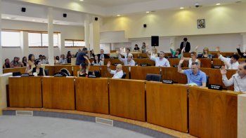 Este año los concejales aprobaron 220 ordenanzas. Pechi les bochó 12. Este año los concejales aprobaron 220 ordenanzas. Pechi les bochó 12.