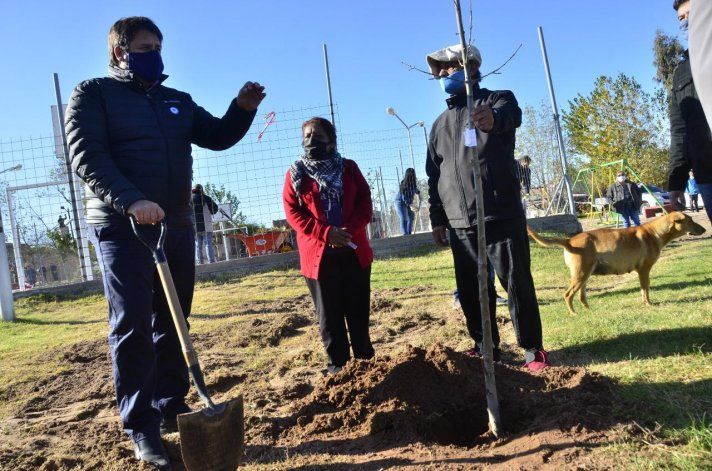 Ya se planaron más de 1600 árboles y la idea es terminar antes de la primavera.