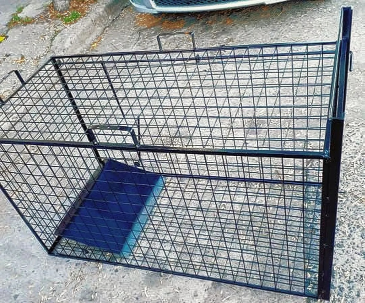 Las trampas son una opción de control de la situación, junto con los perros protectores. Las trampas son una opción de control de la situación, junto con los perros protectores.