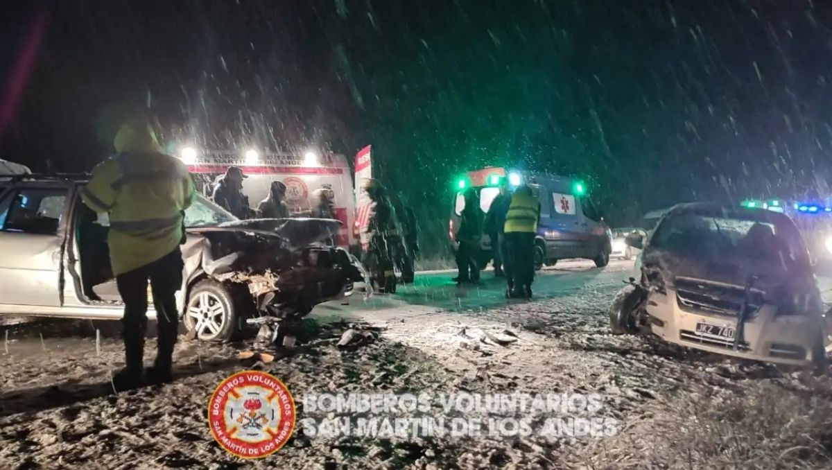 Intentó esquivar un animal y chocó de frente en Ruta 40: se perdió la mascota en el accidente